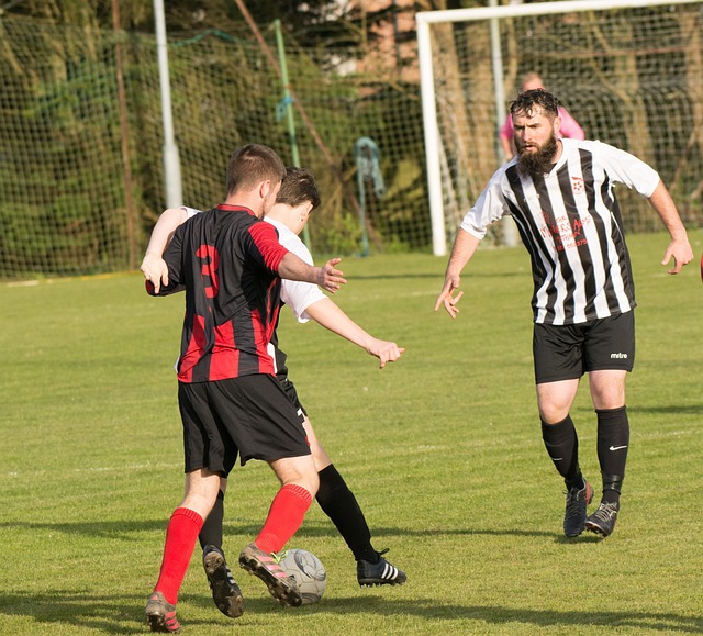 量拥抱全新 量拥抱全新